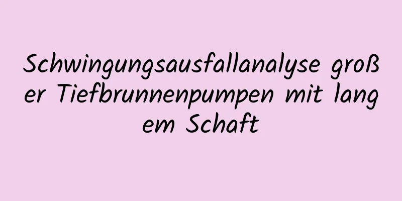Schwingungsausfallanalyse großer Tiefbrunnenpumpen mit langem Schaft